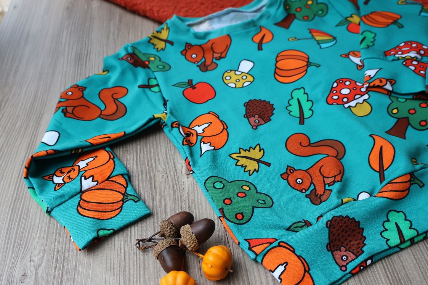 Woodland Walks Limited Edition Sweatshirt or Long Sleeved Dress